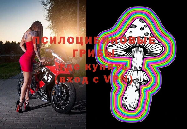 хмурый Кодинск