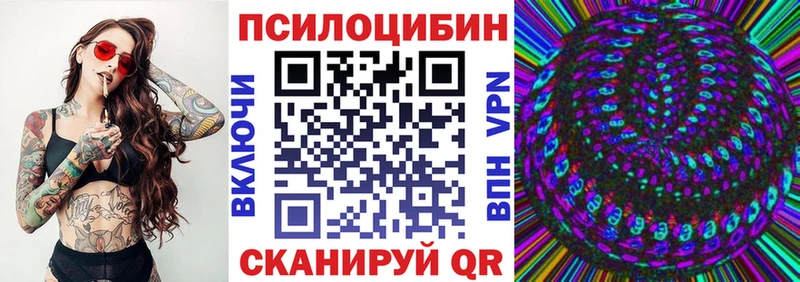 Купить  Арзамас  Псилоцибиновые грибы Cubensis 